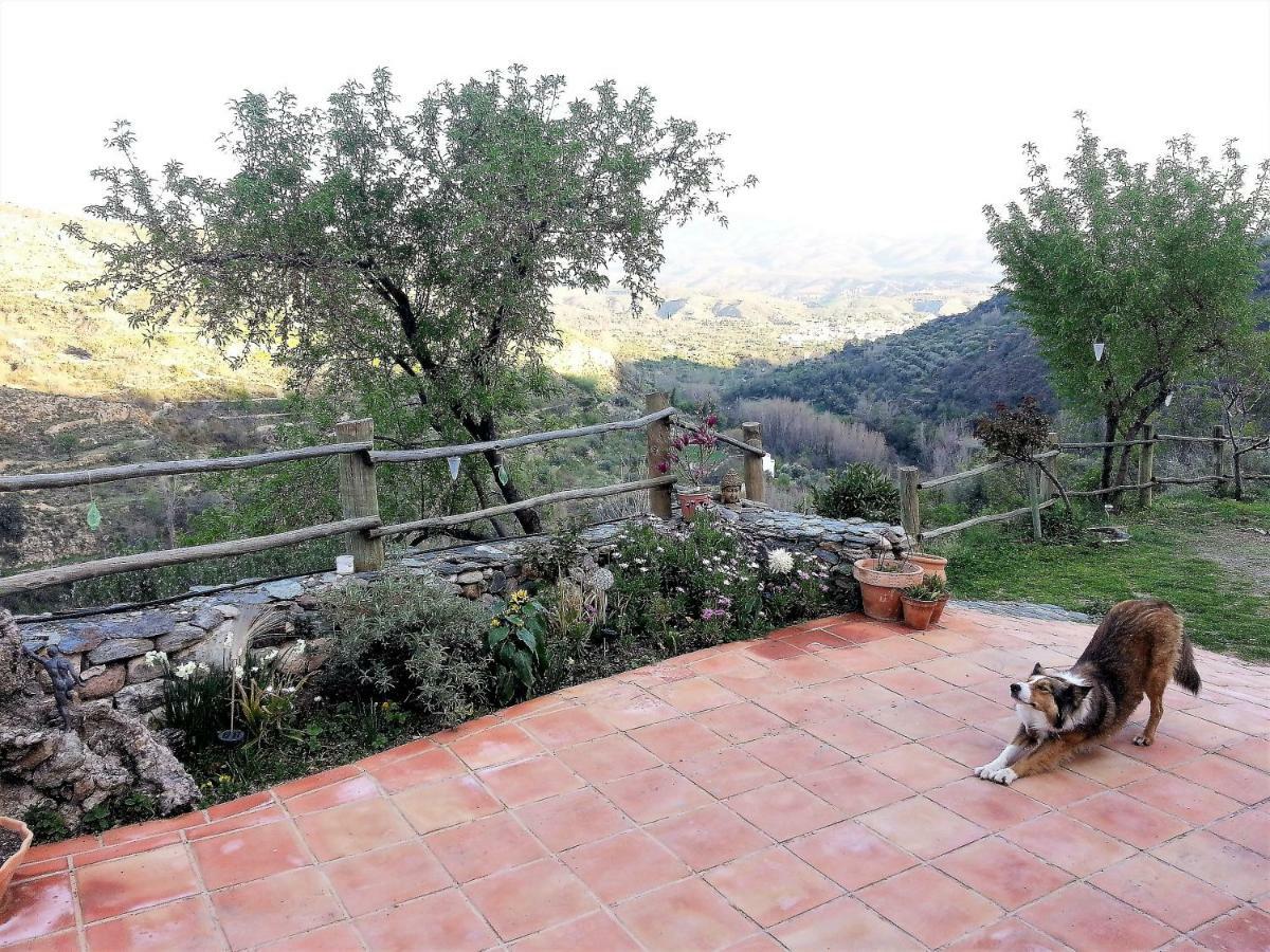 Luz Y Paz Villa