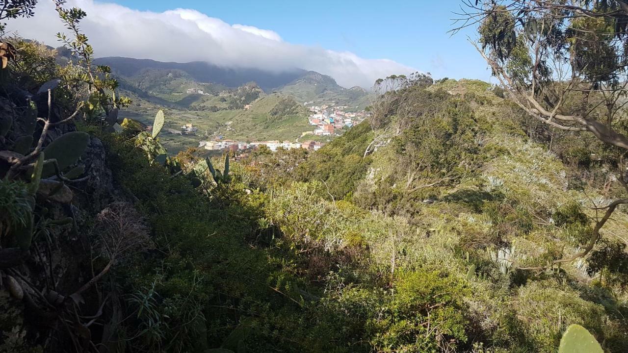 Lugar Ideal Disfrutar De La Laguna Y Anaga