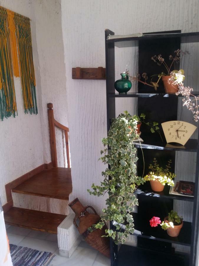 Marina Guest house Jerez de la Frontera