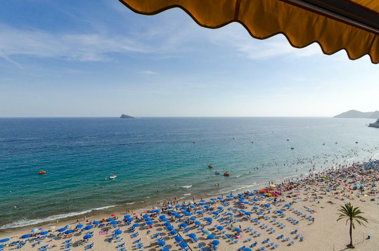 Las Palmeras 12d Apartamento Benidorm