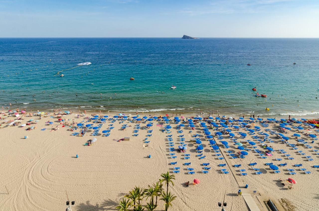 Las Palmeras 12d * Benidorm