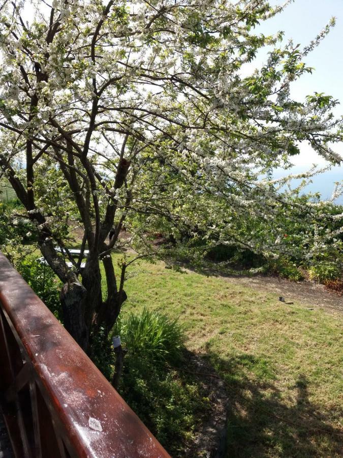 Holiday home Casas Abuelos De Calderon
