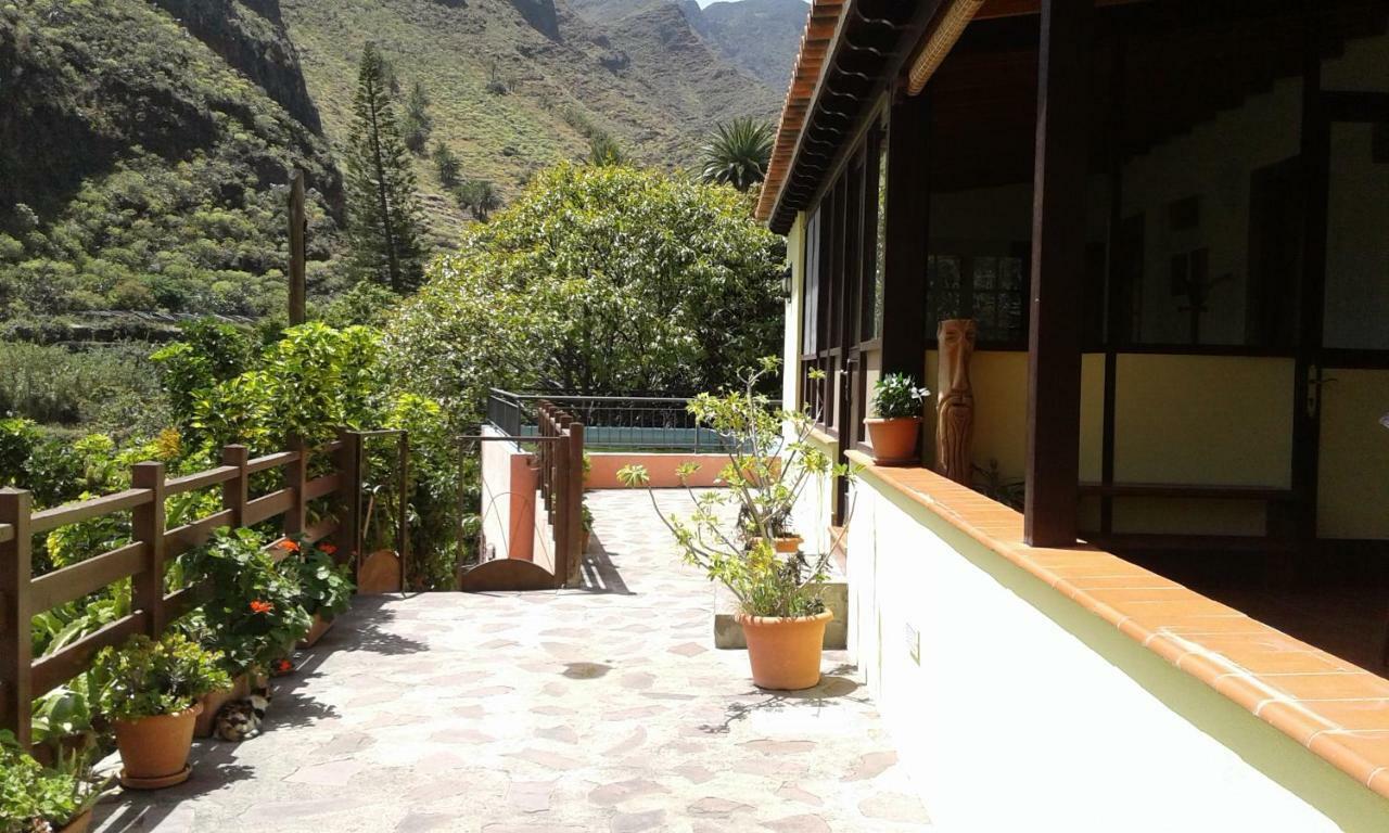 Rincon Del Olivo * Lomito Fragoso y Honduras