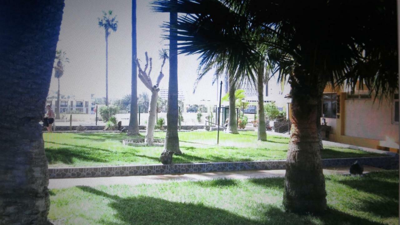 New Near The Beach Playa de las Americas (Tenerife)