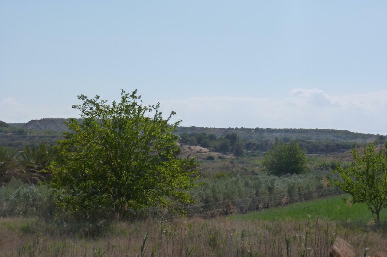 Altos Del Eden Guardamar del Segura