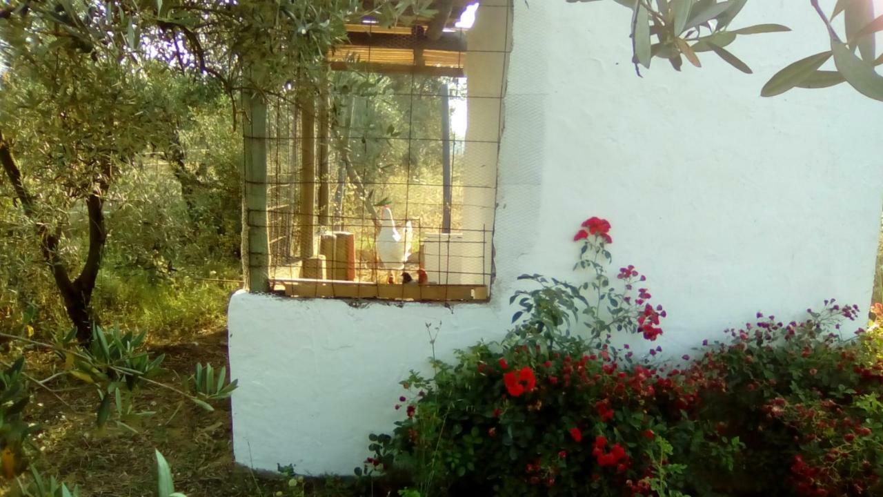 Agroturismo Casa Halcon Almonte