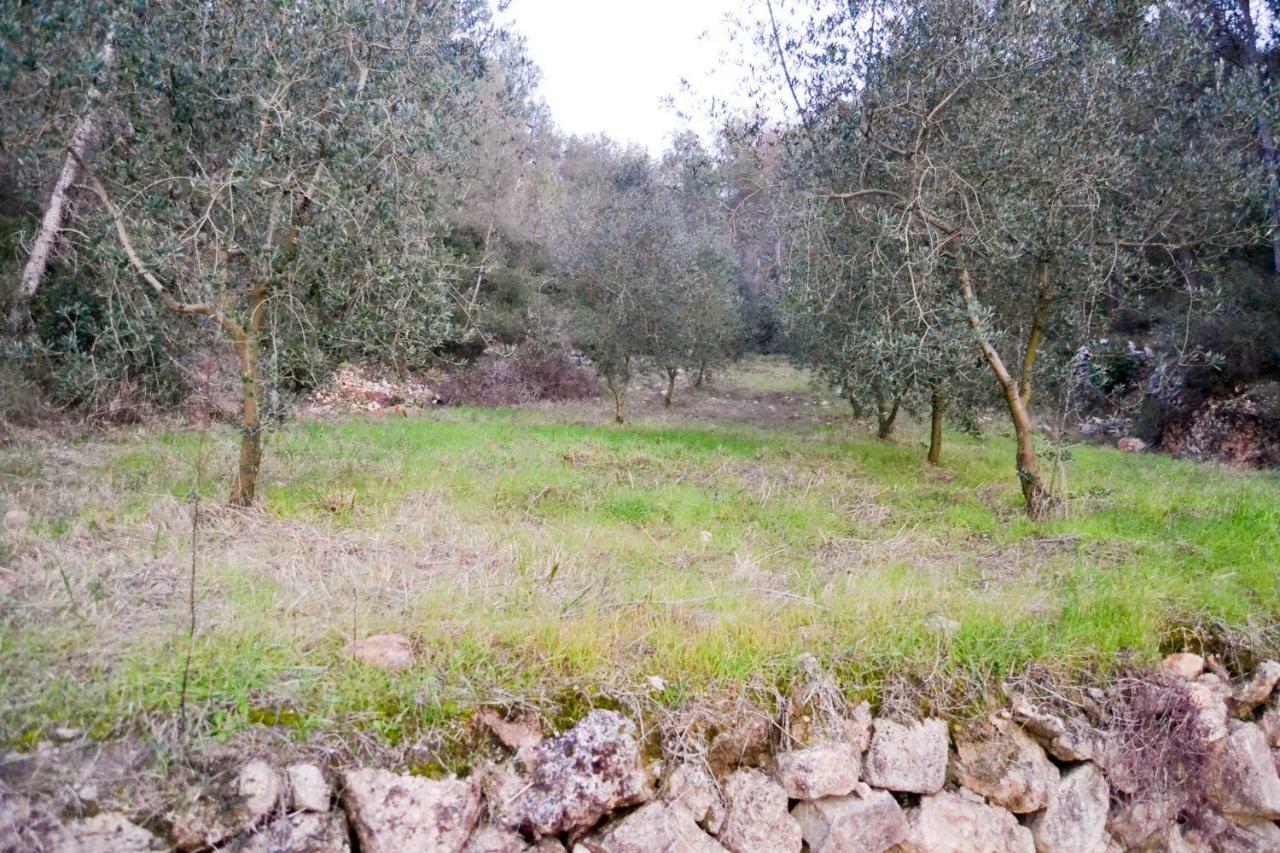 Masia Les Pasoles Canyelles (Catalonia)