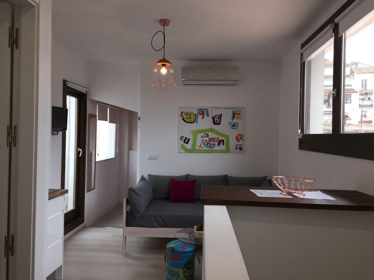 Atico. Centro. Penthouse Apartment Granada