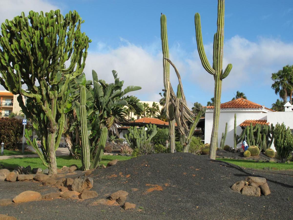 Bahia Sol
