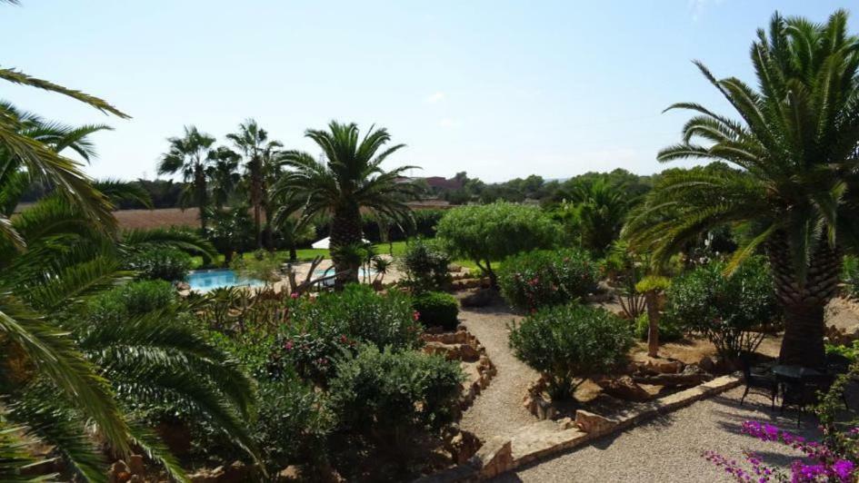 Holiday home Michel Dos Sant Ferran de Ses Roques