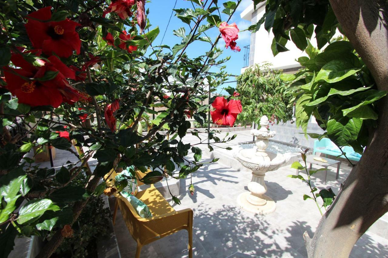Villa Viva Tropical