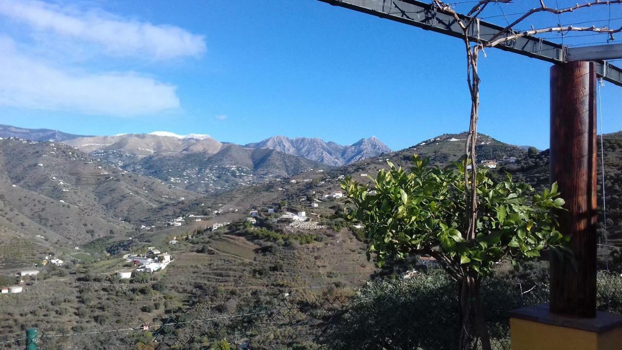 La Loma Montealegre Torrox