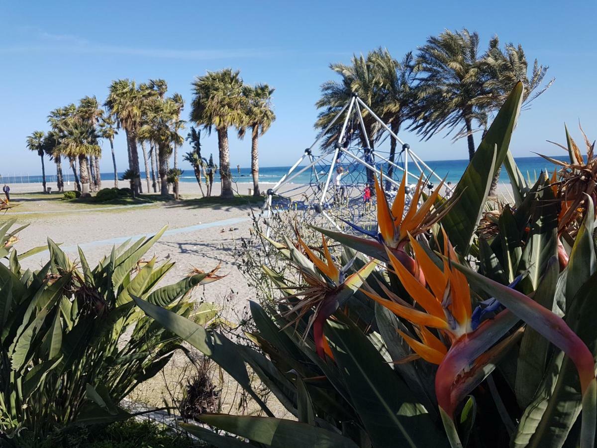 Tropical Andalusian Place *