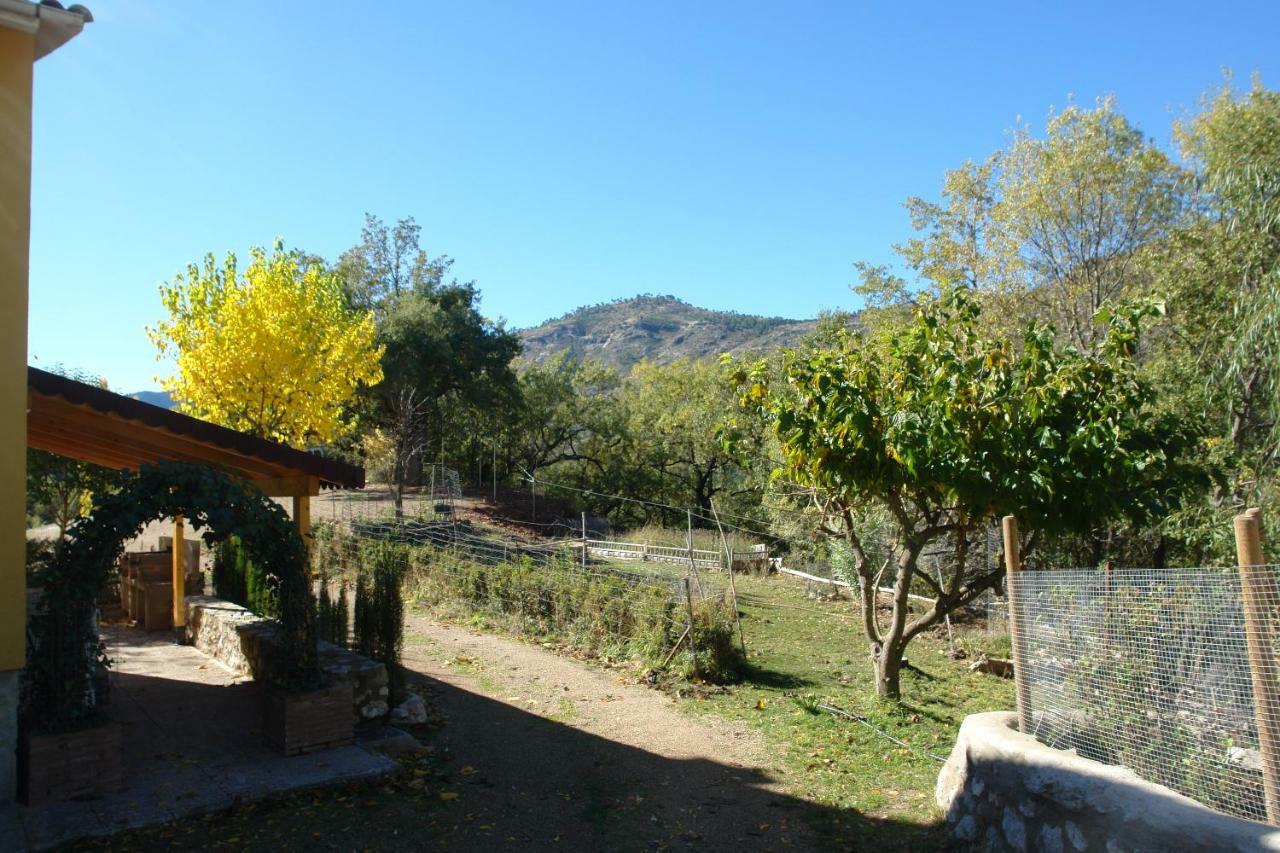 Fuente De La Yedra Arroyo Frio