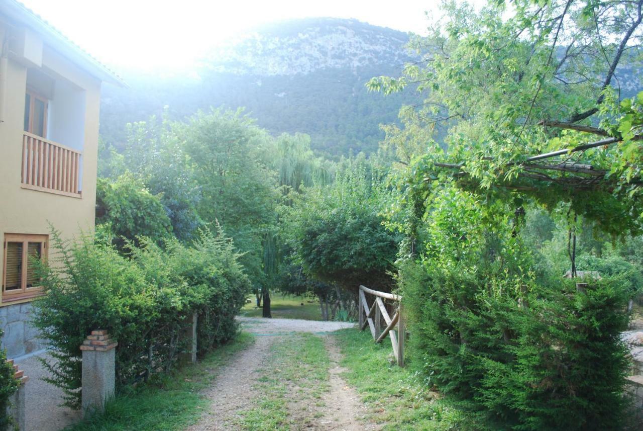 Fuente De La Yedra Arroyo Frio
