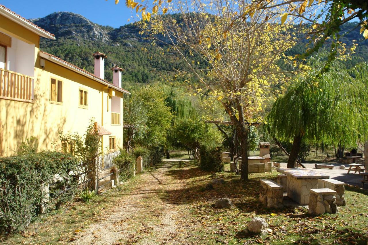 Fuente De La Yedra Arroyo Frio