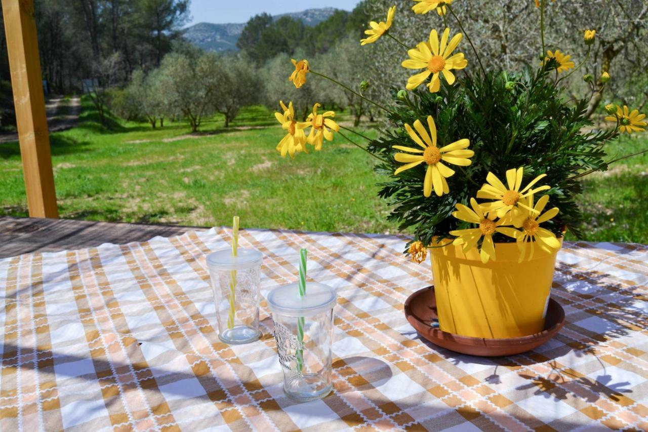 Masia Les Pasoles * Canyelles (Catalonia)