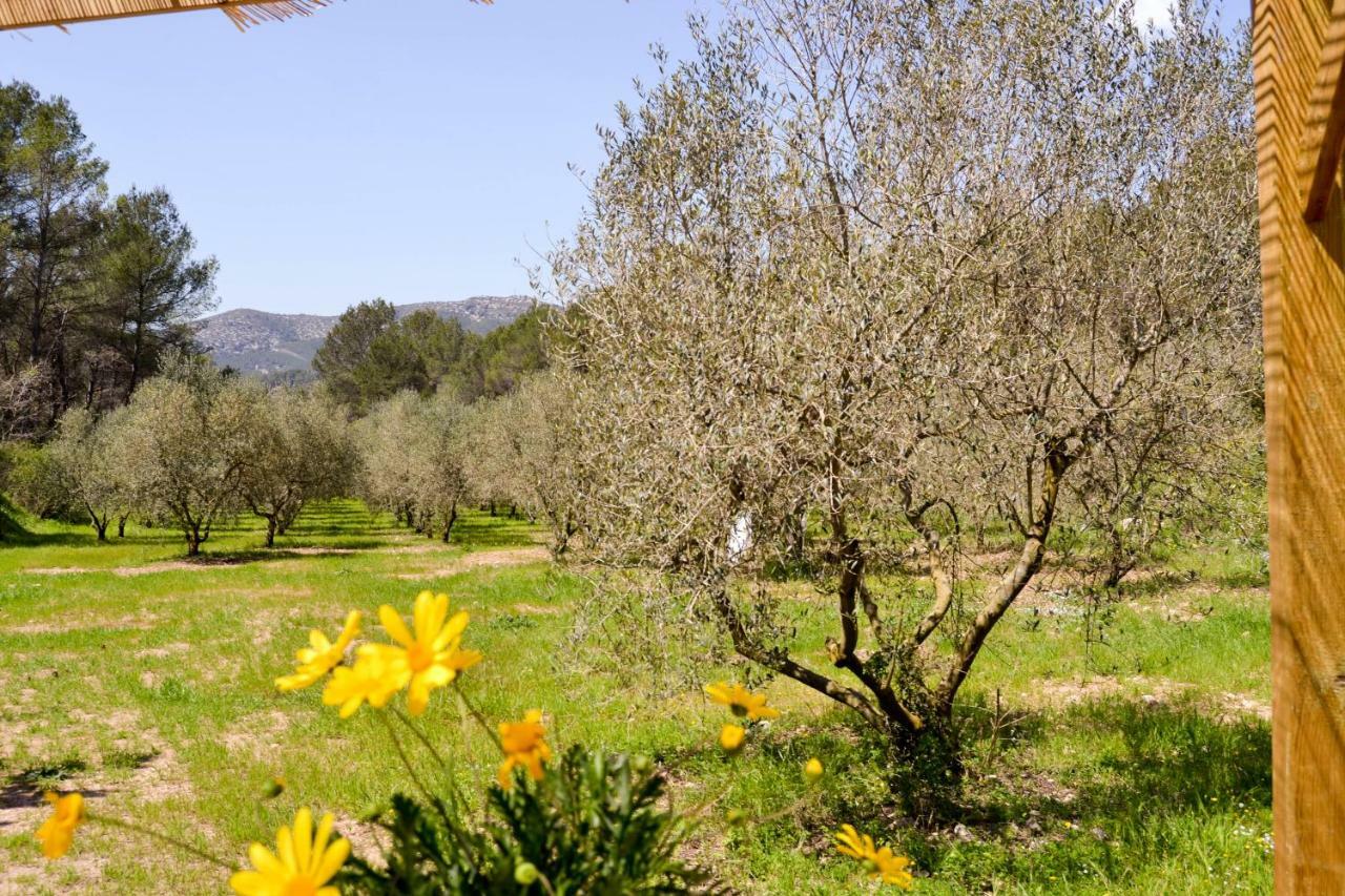 Masia Les Pasoles Holiday home *
