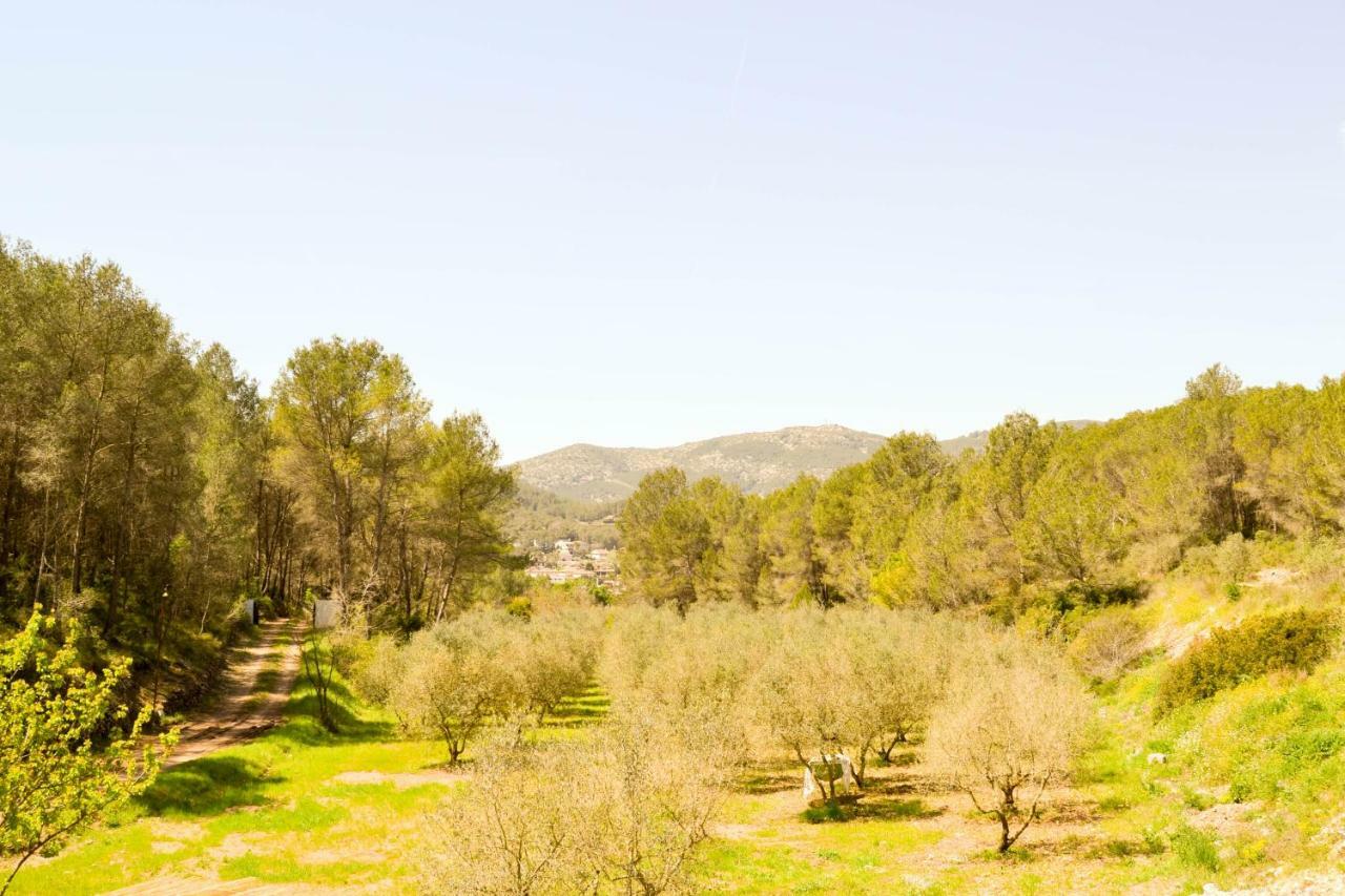 Masia Les Pasoles Holiday home Canyelles (Catalonia)