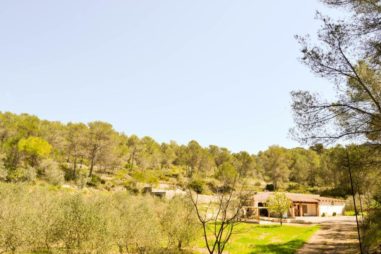Holiday home Masia Les Pasoles *