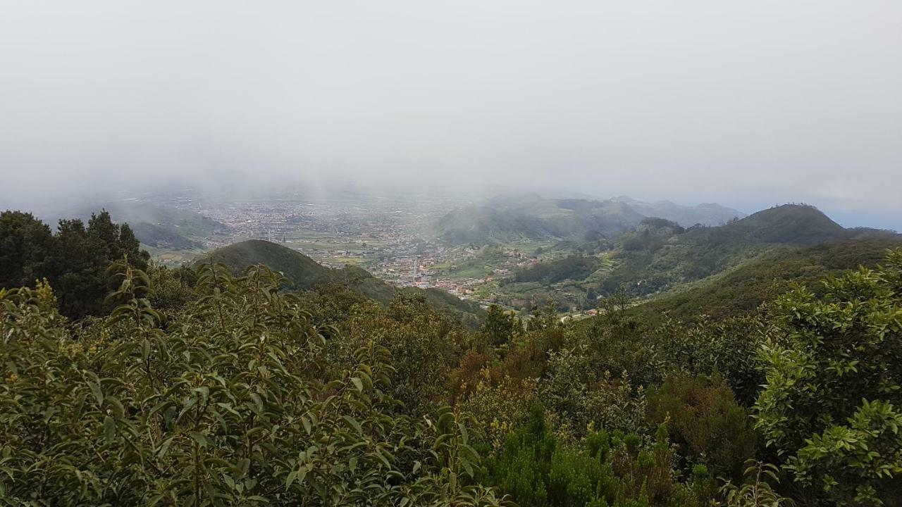 Apartamento Lugar Ideal Disfrutar De La Laguna Y Anaga