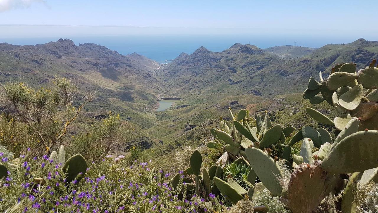 Lugar Ideal Disfrutar De La Laguna Y Anaga *