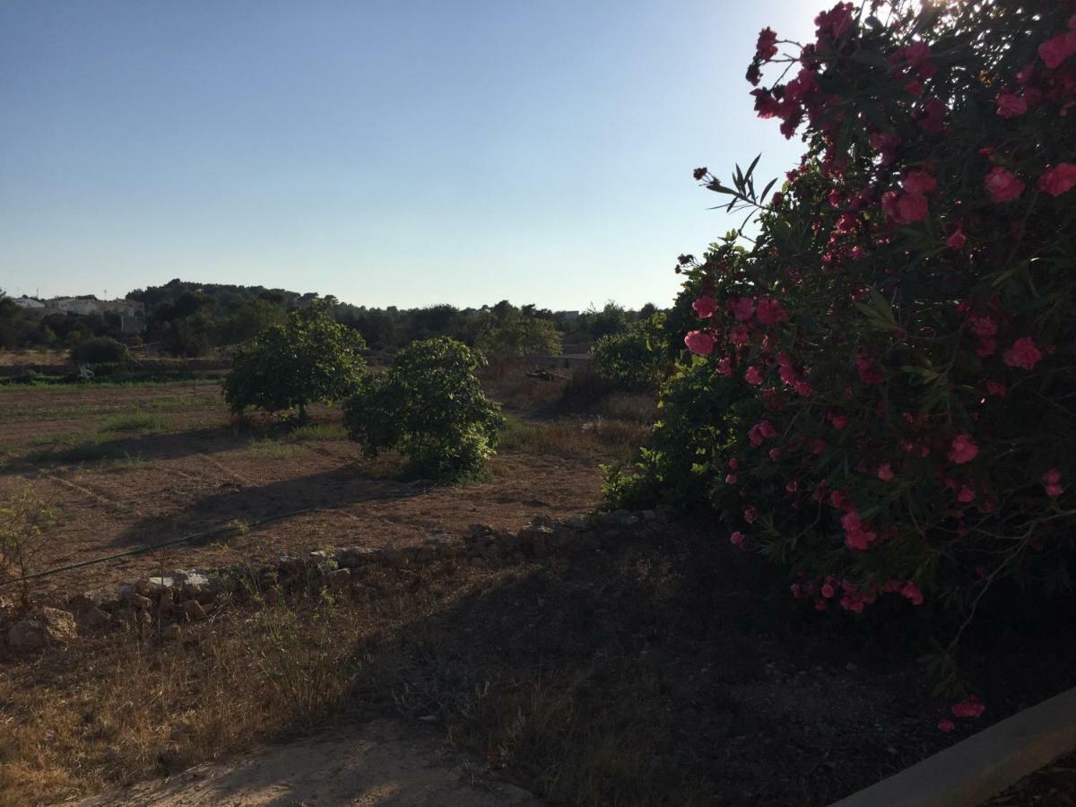 Holiday home Sa Figuera
