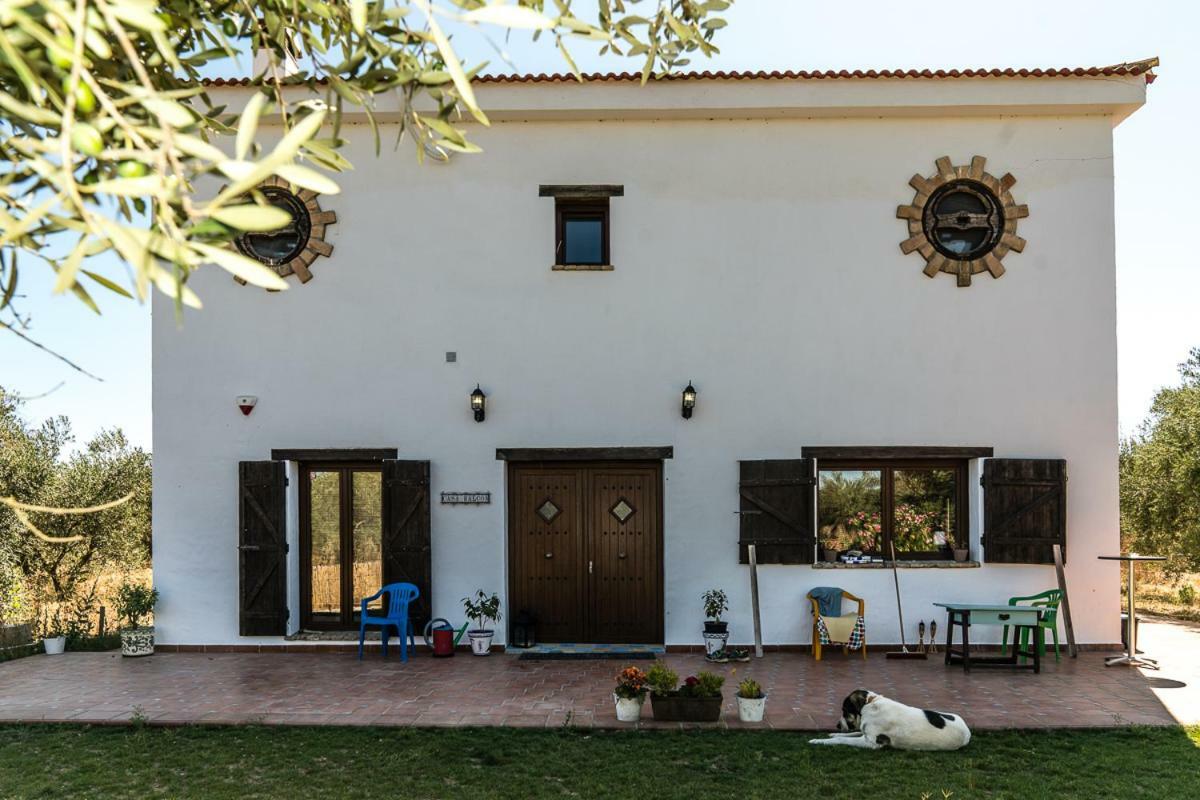 Casa Halcon * Almonte