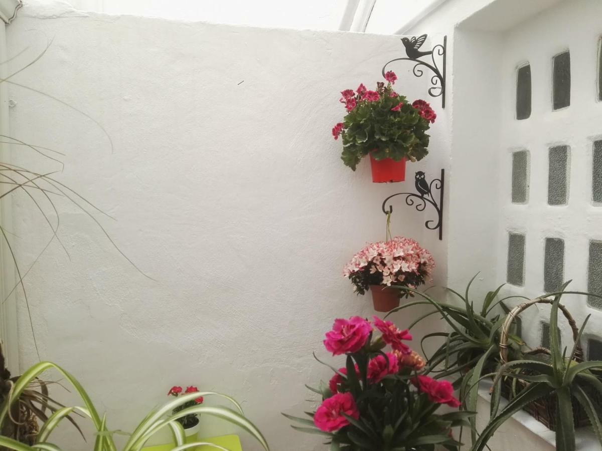 La Flor De Mayo Apartment Cordoba