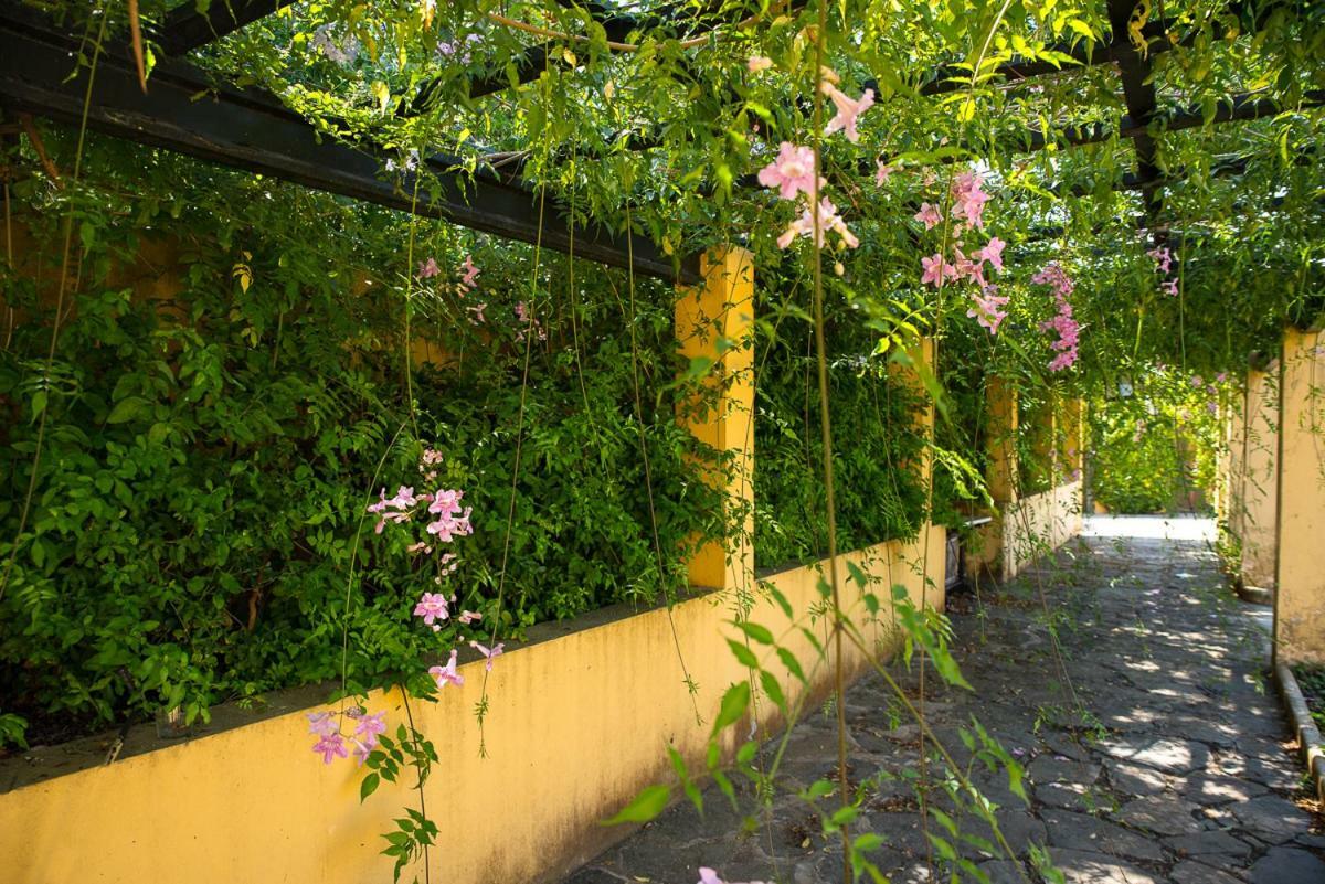 Bellasombra Suites 2* Las Palmas de Gran Canaria