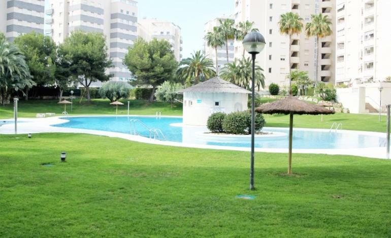 Camí De Fondo 2