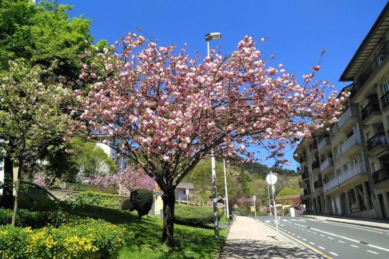 Apartment Kaixo Museum Con Parking Gratis
