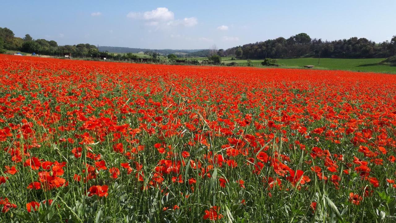 Country house Masia Baix Emporda Monells