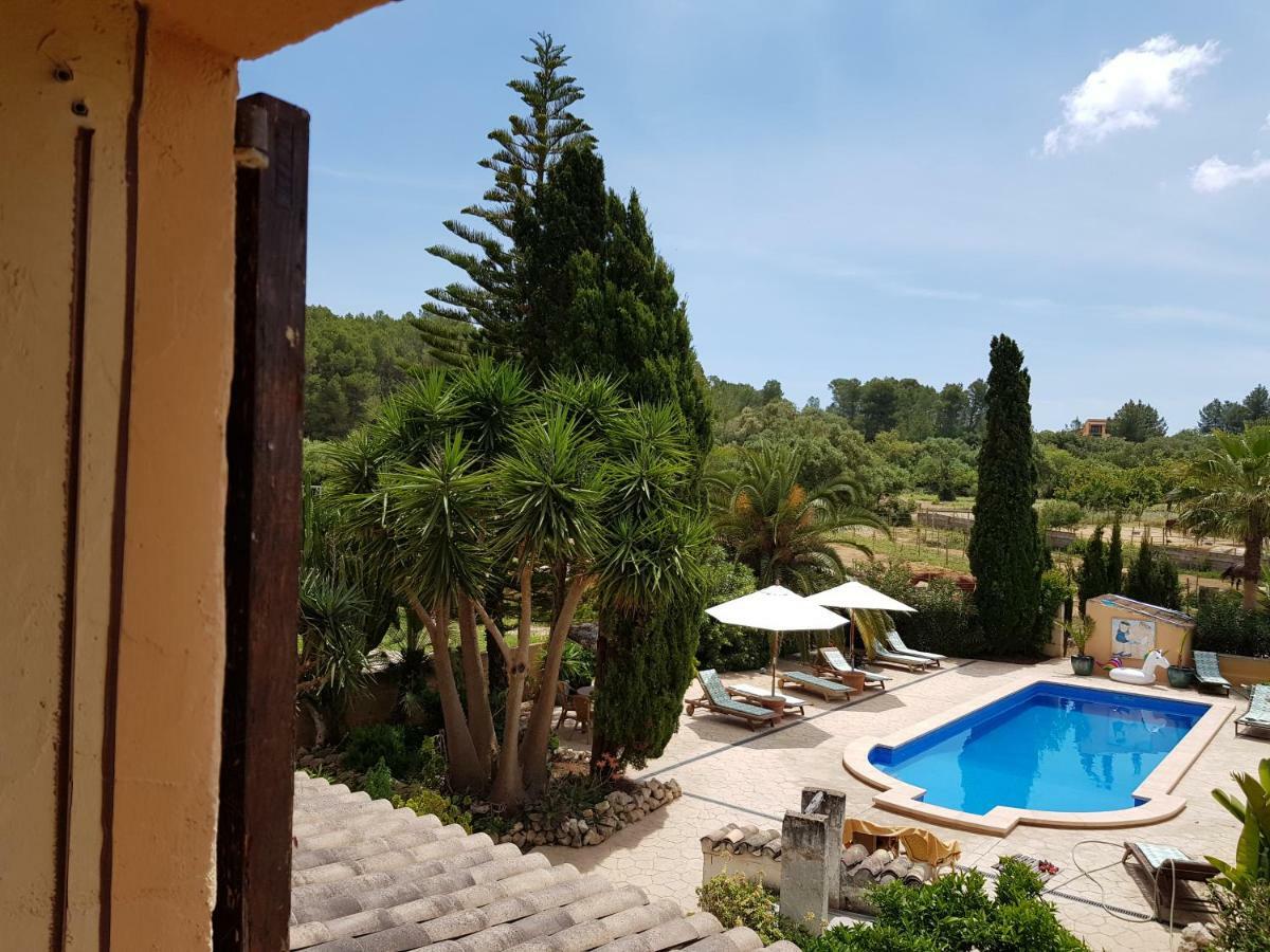 Finca Caballo Blanco Guest house *