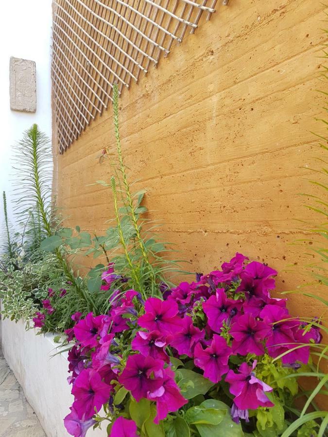 Tropical Andalusian Place * Almuñécar