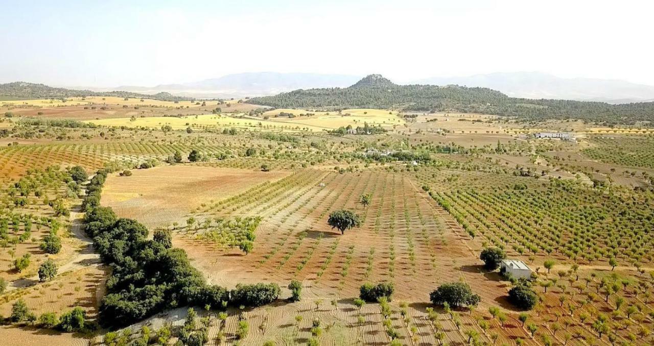 Cortijo Soledad Сasa de vacaciones