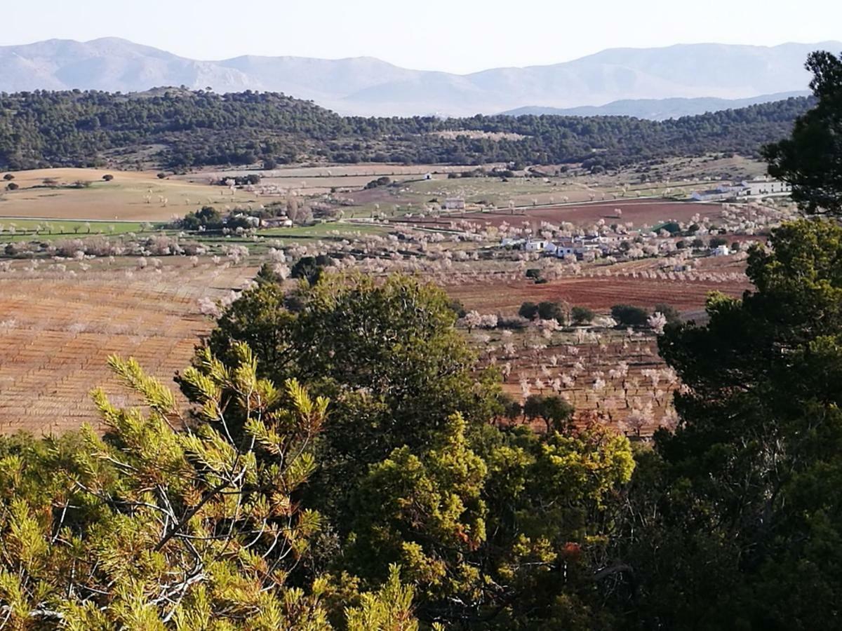 Cortijo Soledad Сasa de vacaciones