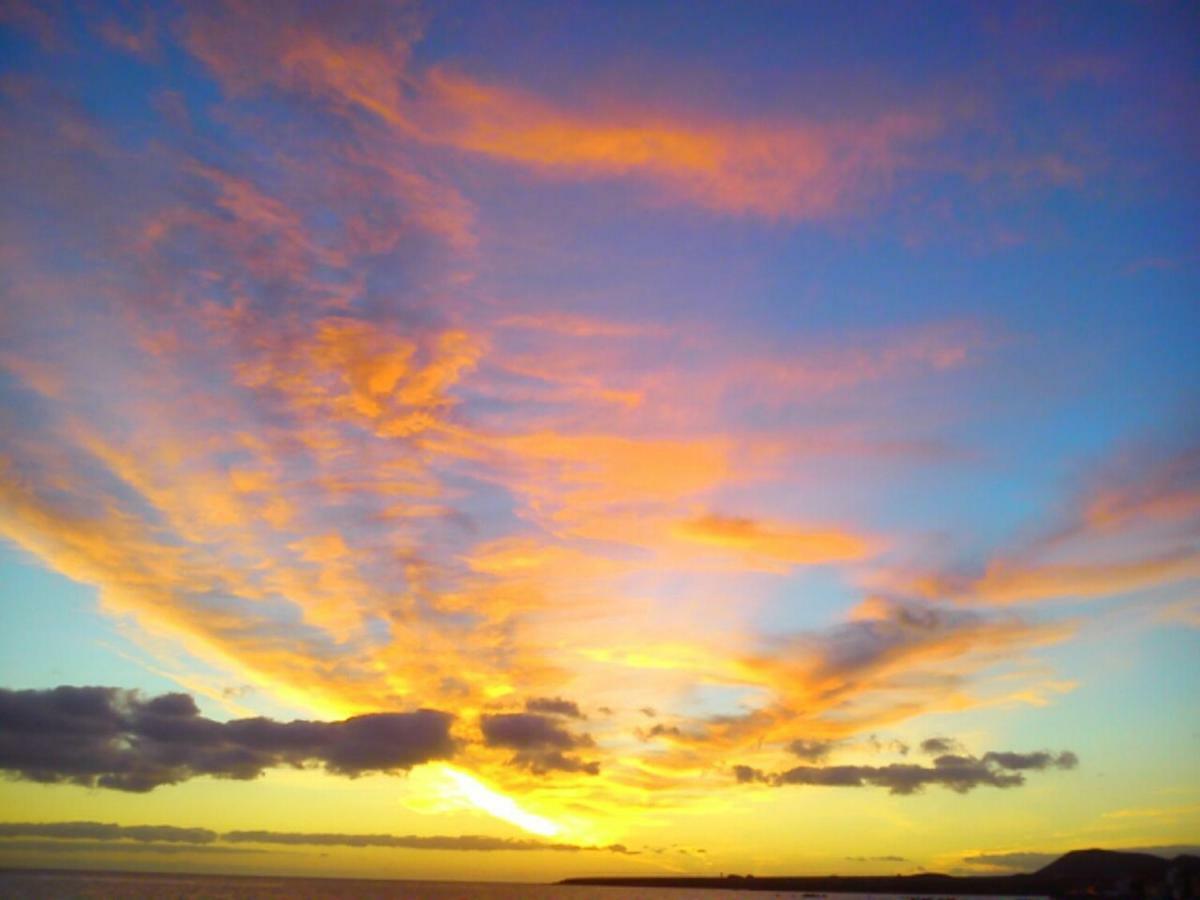 By Jonni Res. Chaparral Costa del Silencio