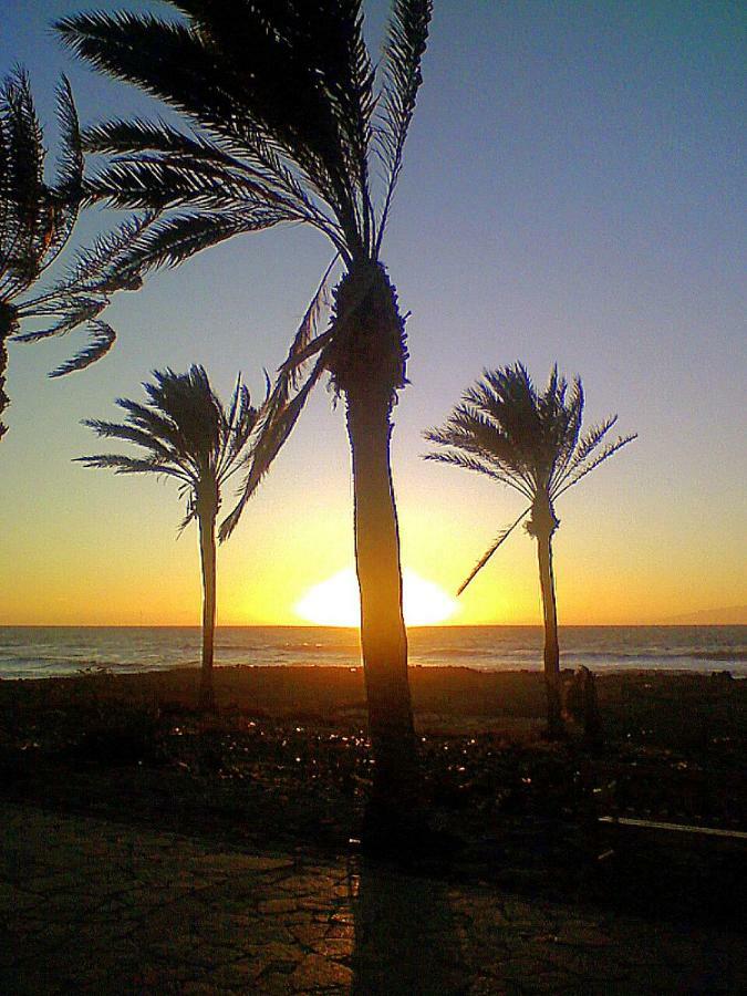 By Jonni Res. Chaparral Costa del Silencio