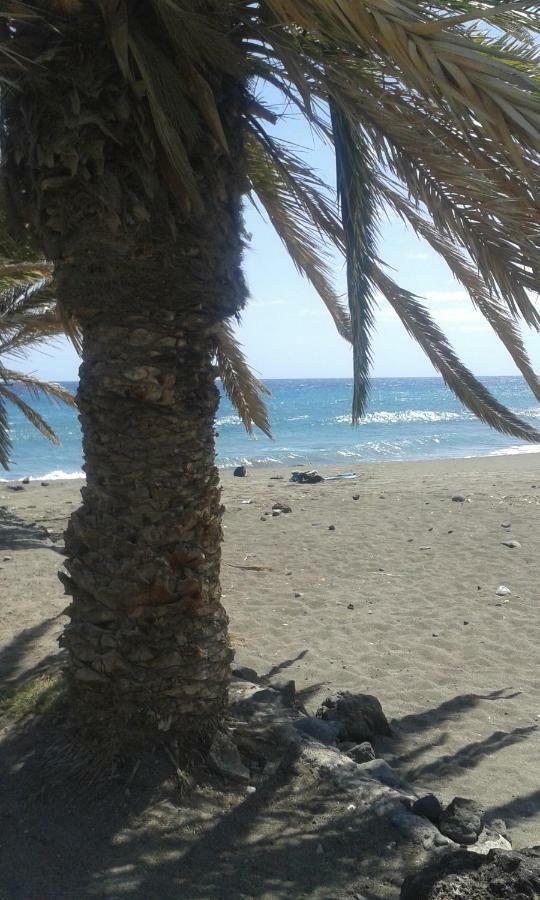 By Jonni Res. Chaparral Costa del Silencio
