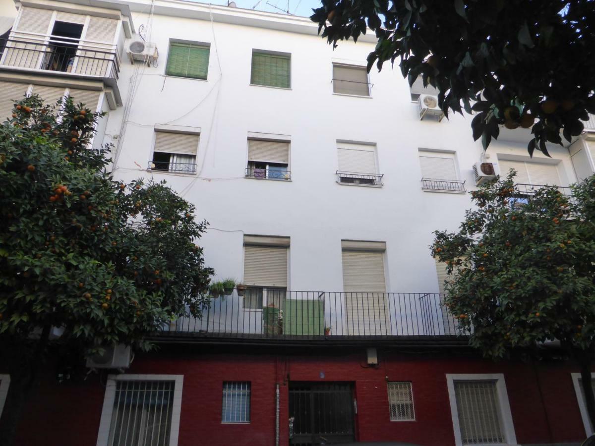 Esencia De Apartamento Sevilla