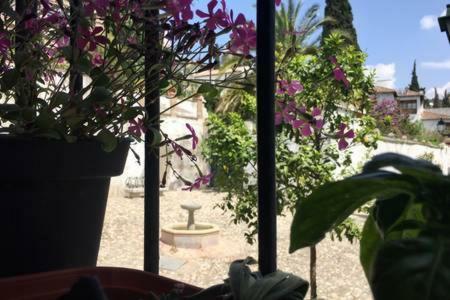 Bonito apartamento en Albaicin