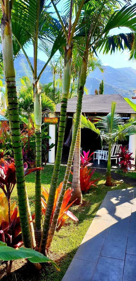 La Selvita Homestay