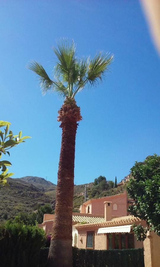 Cedra 5, Home, Cosy Turre