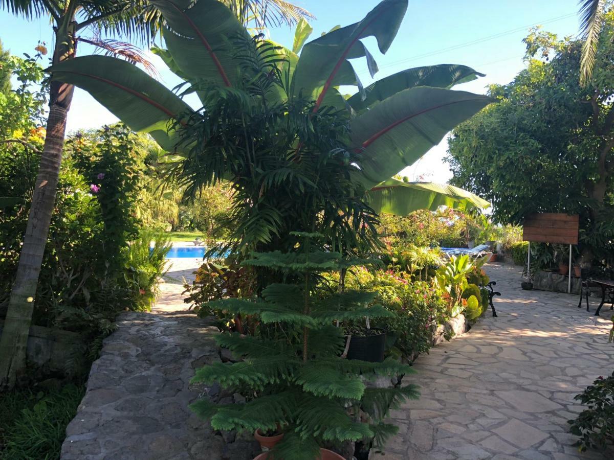 Taburiente Holiday home *
