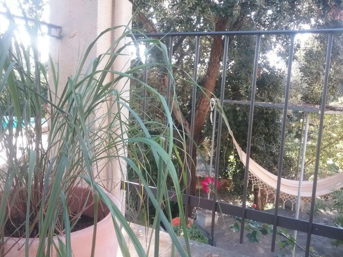 Ses Alzines Integrado En Habitada