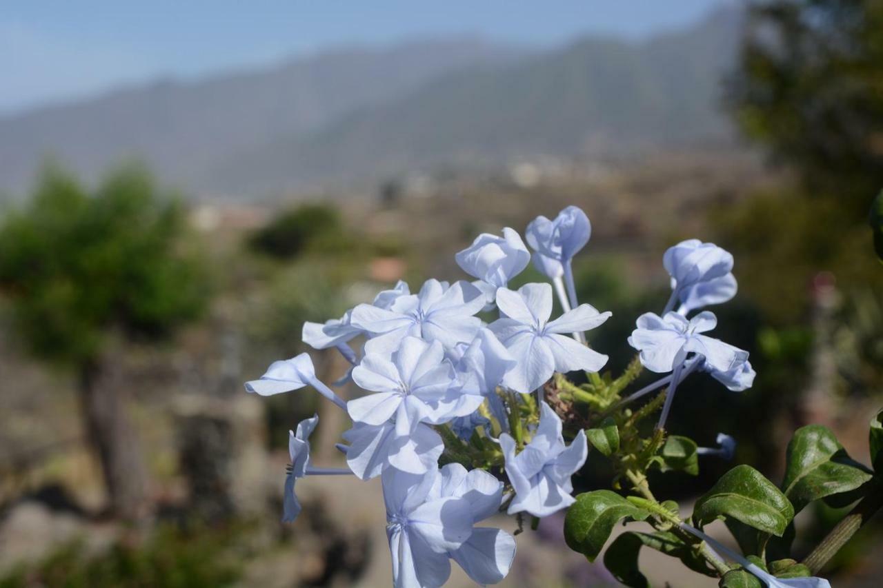 La Palma - Finca Paraiso Arriba & Finca Paraiso Abajo Los Llanos De Aridane