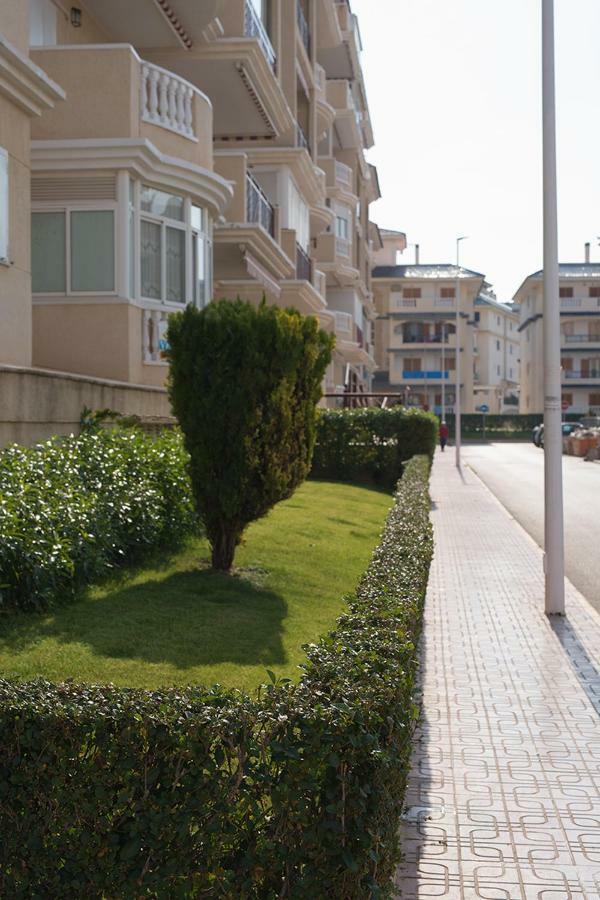 Sunny La Mata *