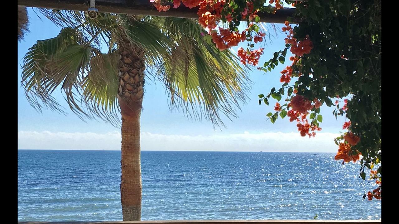 Apartment Mi Capricho B12 -luxury Beachfront Apartment- Costa Del Sol Sitio de Calahonda