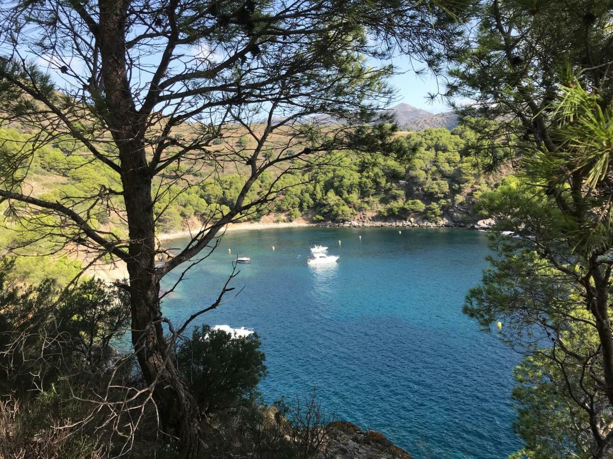 Castell Blau * Roses